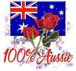 20140305_Australia day joke_003